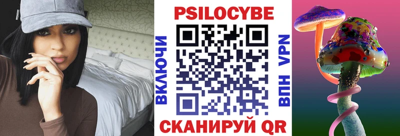 Псилоцибиновые грибы Psilocybe  где купить наркоту  Ульяновск 